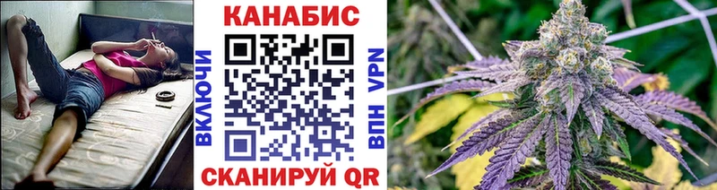 Купить где  Кукмор  Каннабис семена 